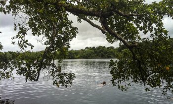 El Cenote Azul, el cenote de Bacalar