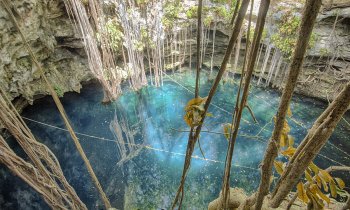 Cenote Lol Ha, cristalina flor de agua de Yaxunah