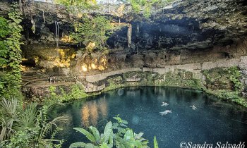 Cenote Zací, el corazón de agua de Valladolid