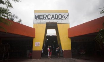 Qué comprar en el Mercado 28 de Cancún