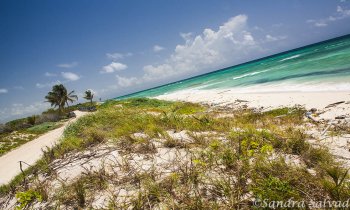 Conoce la salvaje Reserva Biosfera Sian Ka’an