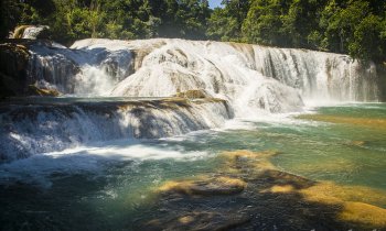 ¿Cómo visitar las pozas de Agua Azul? Imperdibles aguas turquesas de Chiapas