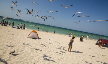 Progreso, la escapada a la playa desde Mérida