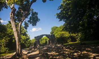 San Gervasio, una antigua ciudad maya en Cozumel