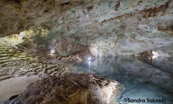 Impresionante cenote Chunkuy, suma y sigue  Cuzamá