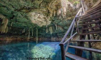 Cenote Kankirixche, pura belleza entre Abalá y Mucuyché
