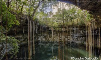 Cenote Secreto Maya, descubre este maravilloso rincón escondido en la selva