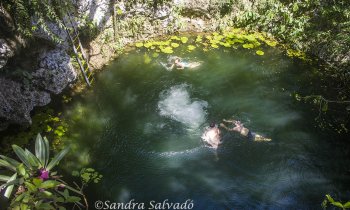 Cenote Zapote y su perezoso gigante en la Ruta de los Cenotes